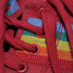 3567698360_541aac3f60_b