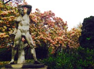 Daniel Mora Photography